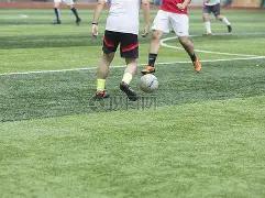 独家,周五,德甲赛事前,开云体育,开云体育官网,开云体育app,开云体育app下载