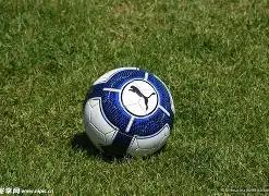 歷屆冠軍隊,伍梳理,开云体育,开云体育,开云体育官网,开云体育app,开云体育app下载