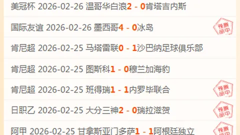 中国承建塞尔维亚“多瑙走廊”局部路段启用，武契奇向中国友人致谢
